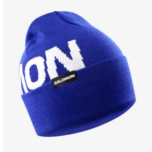 Шапка SALOMON Hermitage Beanie Surt The Web в магазине Sport-Nordic.ru.