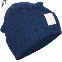 Шапка BD Hat Retro Estate Blue