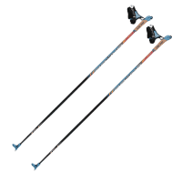 Лыжные палки SkiGo Vasa
