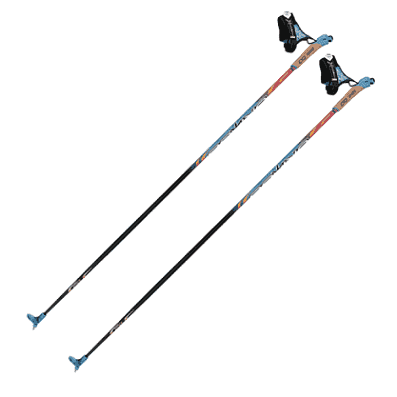 Лыжные палки SkiGo Vasa в магазине Sport-Nordic.ru.