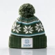 Шапка SWIX Trysil Beanie Pine