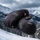 Варежки KV+ XC Alaska Black 26