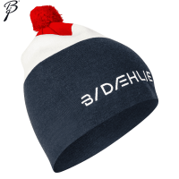Шапка BD Hat Frost Norwegian Flag
