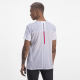 Футболка SWIX Carbon White Man в магазине Sport-Nordic.ru.